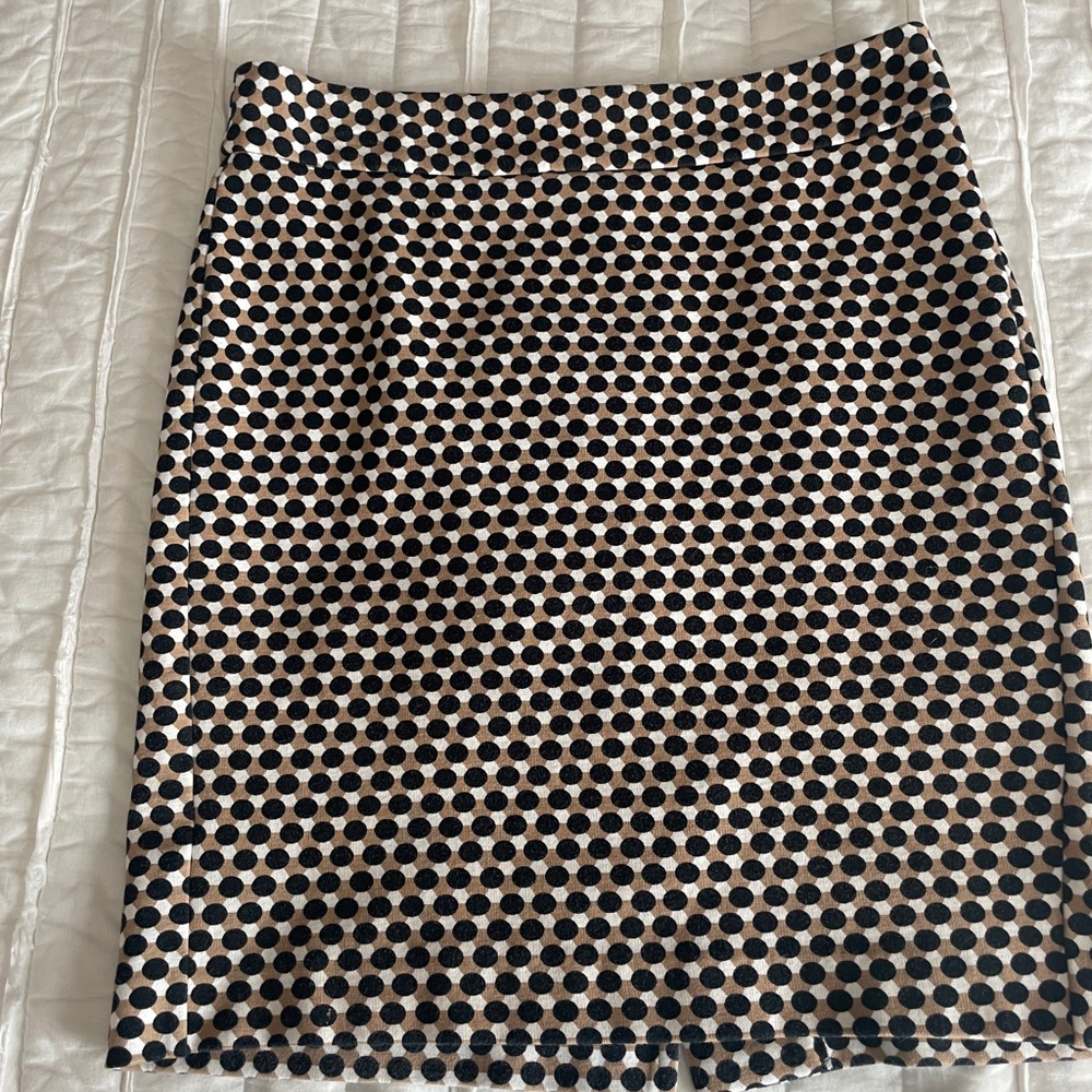 Ann Taylor skirt